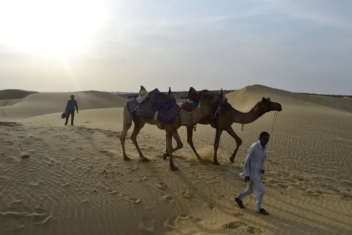 Государственный заповедник Desert National Park: Damodra Desert Camp