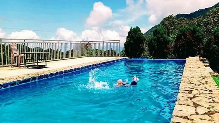 Муннар: Wild Elephant Eco-Friendly Resort