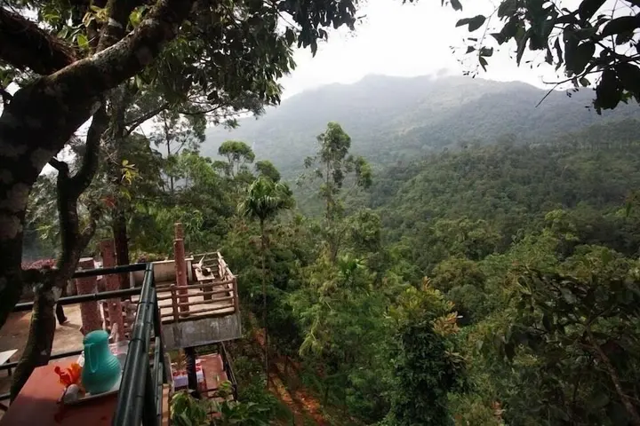 Муннар: Wild Elephant Eco-Friendly Resort