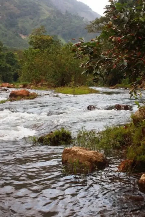 Муннар: Wild Elephant Eco-Friendly Resort