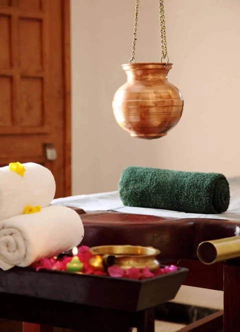 Баихар: Tuli Tiger Resort