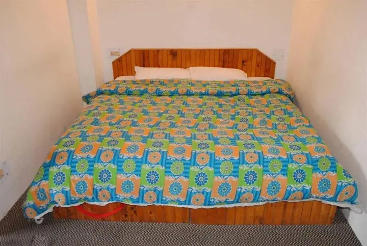 Манали: Hotel Hadimba Way