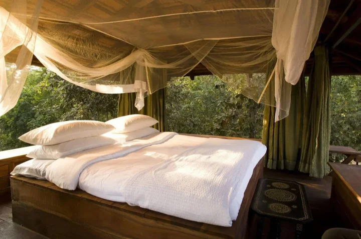 Турья: Baghvan, Pench National Park