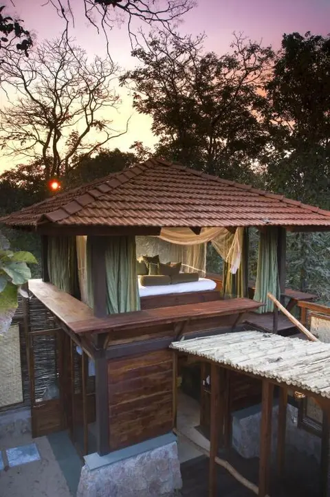 Турья: Baghvan, Pench National Park
