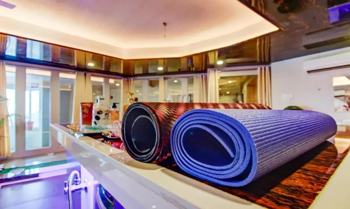 Вапи: Hotel Shree Daan
