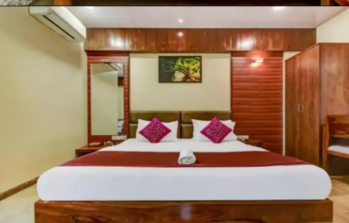 Вапи: Hotel Shree Daan