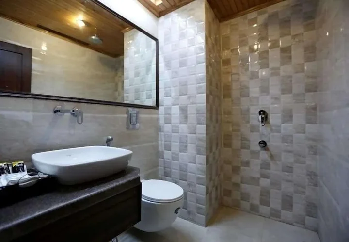 Ревалсар: Hotel Shingar