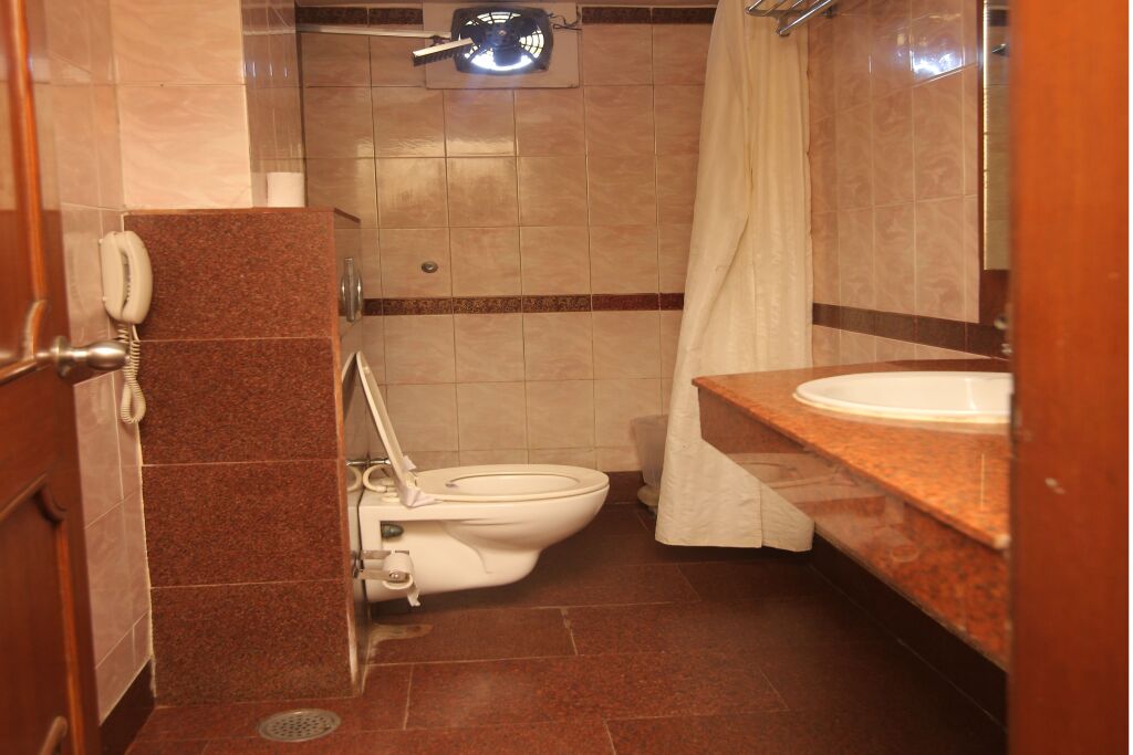 Агра: Hotel Metro