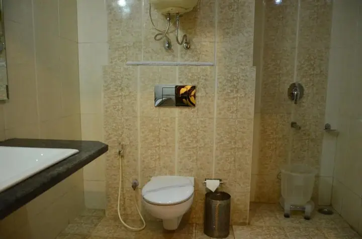 Шимла: Hotel C K International