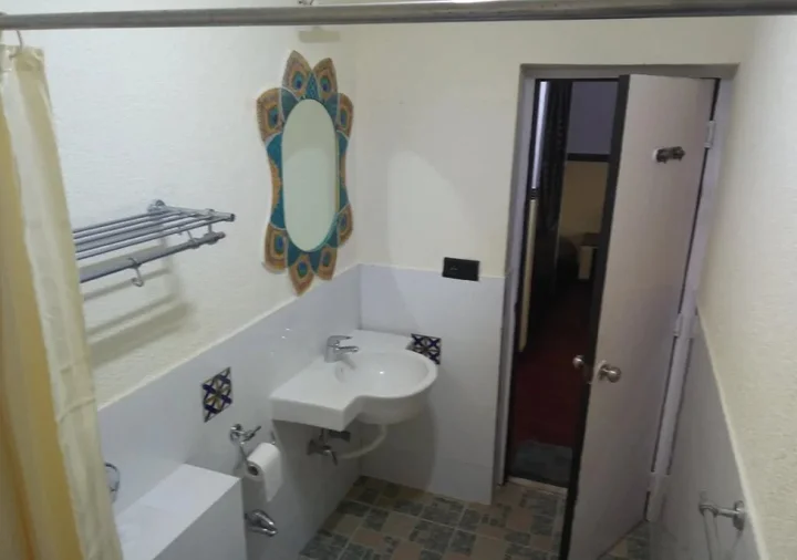 Панаджи: Hotel Viva Goa International