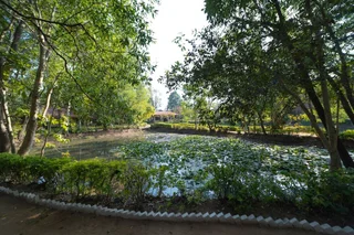 Панпата: Tiger Trails Resort