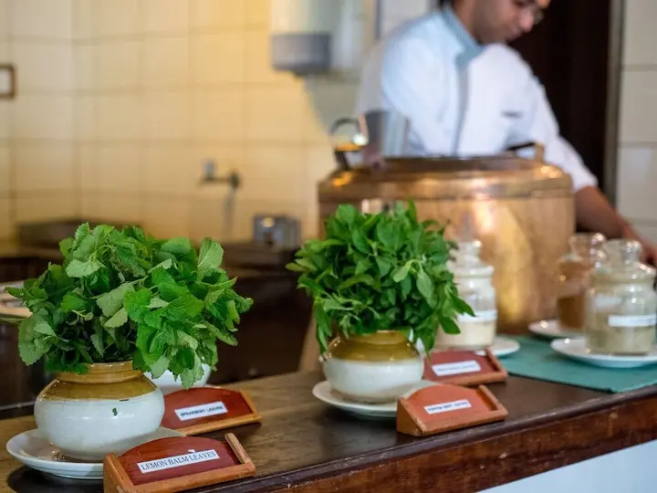 Кумили: Spice Village-CGH Earth