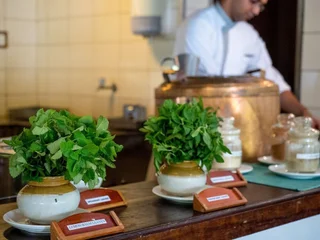 Кумили: Spice Village-CGH Earth