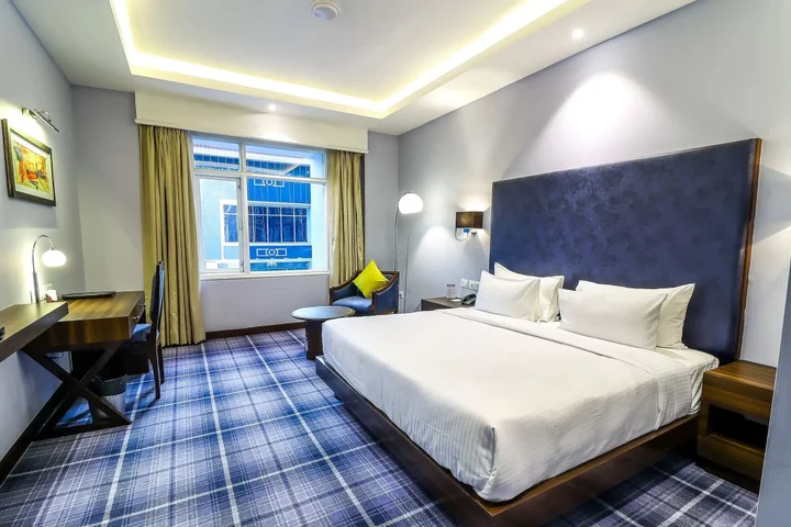 Райпур: Hotel Piccadily Raipur