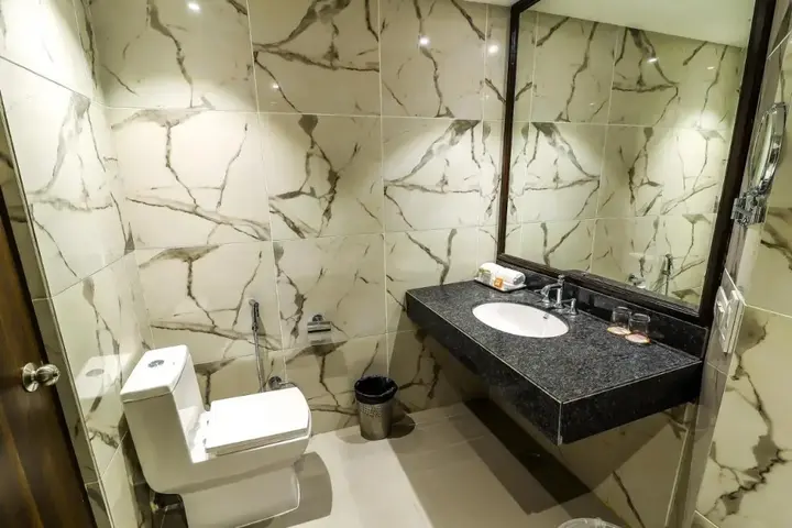 Райпур: Hotel Piccadily Raipur