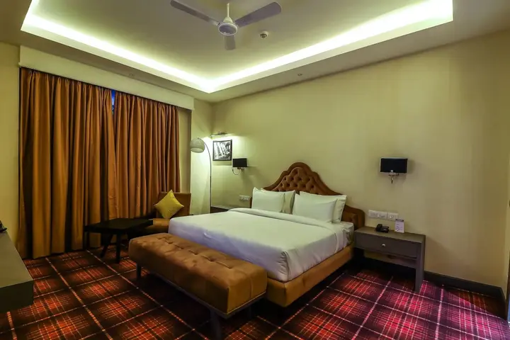 Райпур: Hotel Piccadily Raipur
