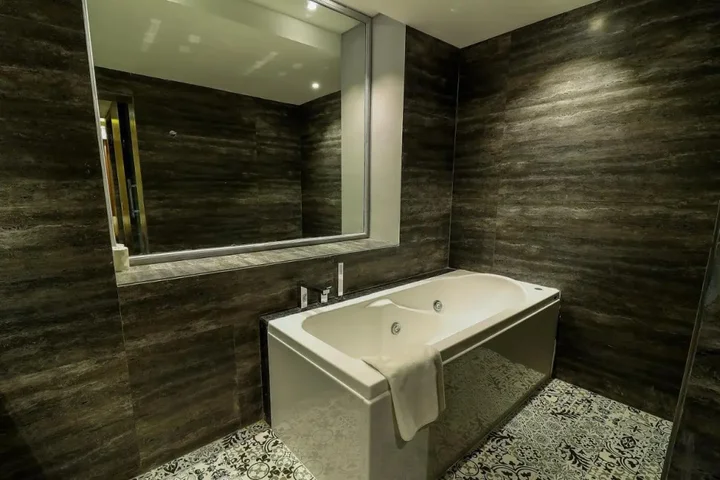 Райпур: Hotel Piccadily Raipur