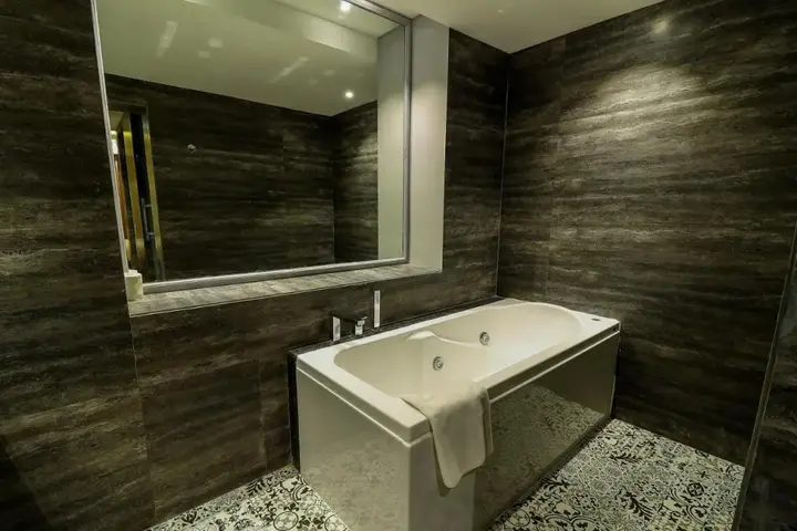 Райпур: Hotel Piccadily Raipur