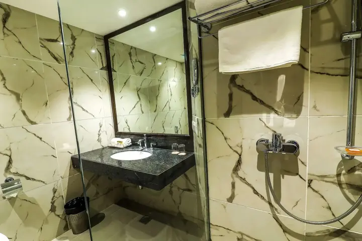 Райпур: Hotel Piccadily Raipur