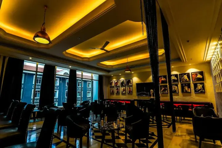 Райпур: Hotel Piccadily Raipur
