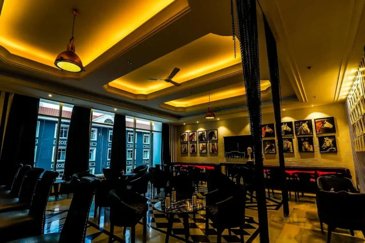 Райпур: Hotel Piccadily Raipur