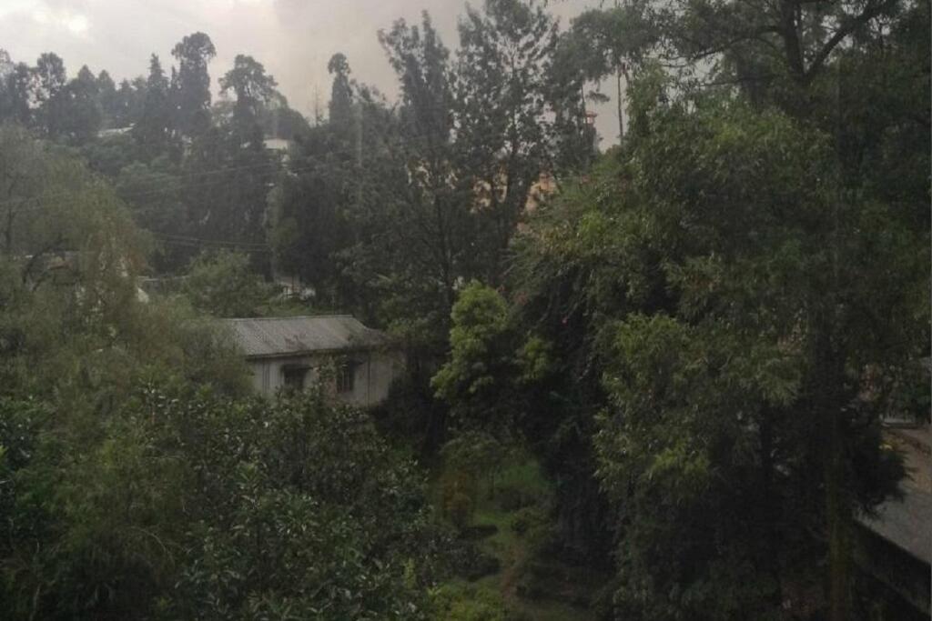 Шиллонг: Hotel Majestic Shillong