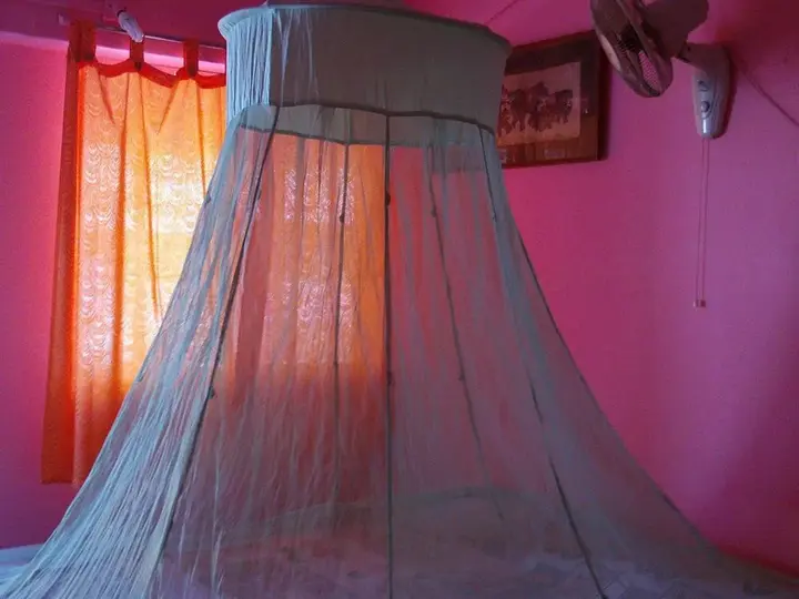 Южный Гоа: Mamoos Place