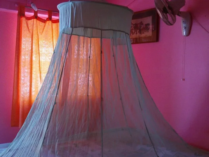 Южный Гоа: Mamoos Place