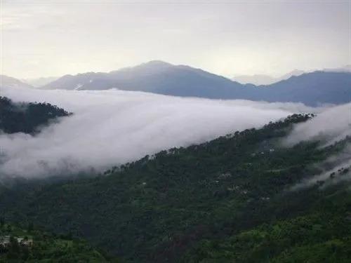 Казаули: Hotel Kasauli Woods