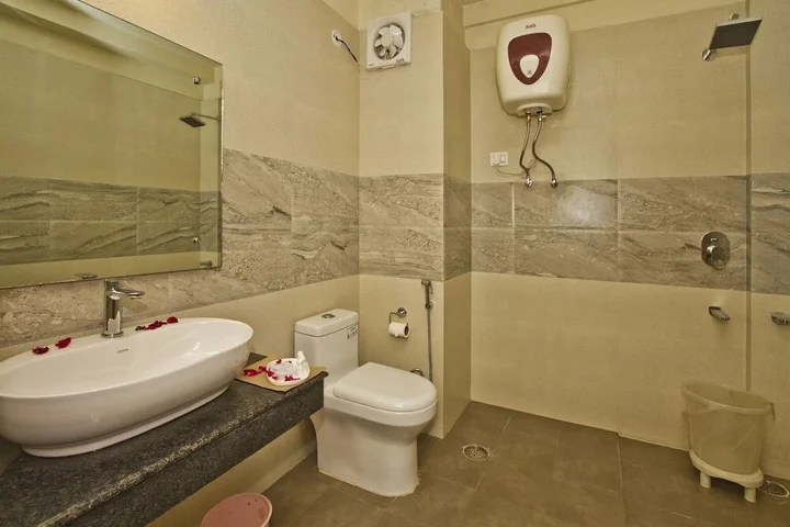 Манали: Park Residency Hotel