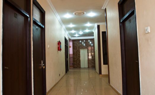 Nirmal Palace — фото 3