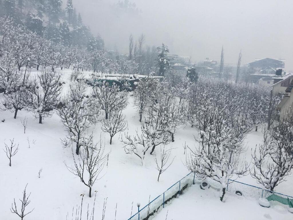 Манали: Antriksh Cottage Manali