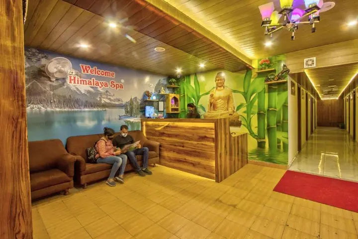 Манали: Hotel Ibex Manali