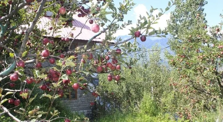 Манали: Gautam Shala Cottage