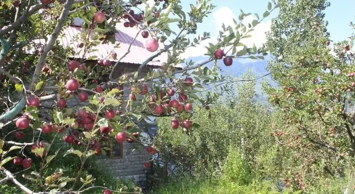 Манали: Gautam Shala Cottage