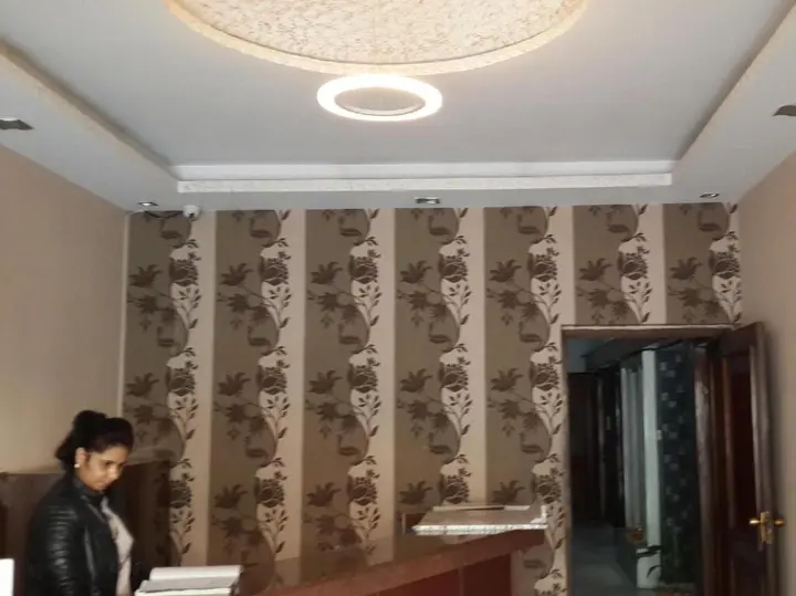 Лакхнау: Hotel Executive