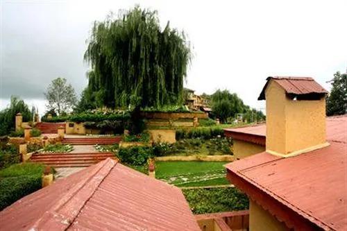 Куфри: Shilon Resort