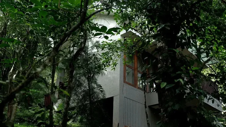 Манджора: Wayanad Silverwoods Forest Resort & Spa