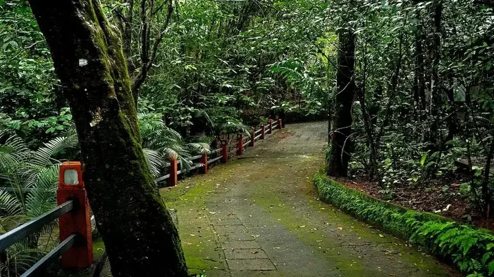 Манджора: Wayanad Silverwoods Forest Resort & Spa