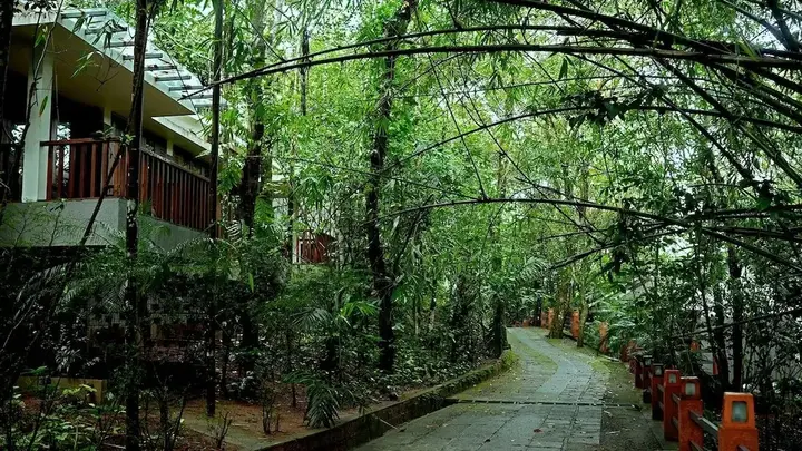 Манджора: Wayanad Silverwoods Forest Resort & Spa
