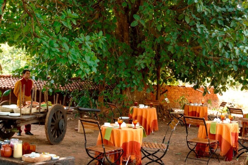 Панпата: Mahua Kothi, A Taj Safari - Bandhavgarh National Park