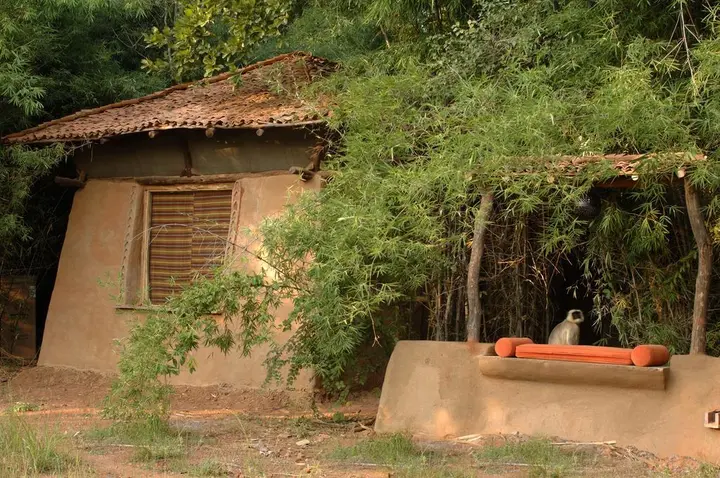 Панпата: Mahua Kothi, A Taj Safari - Bandhavgarh National Park