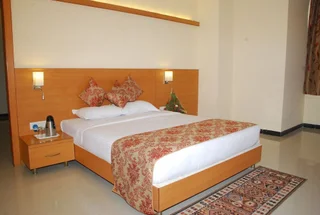 Индаур: Hotel Mangal City