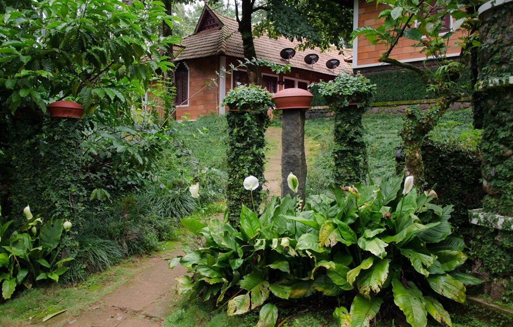 Какабе: Misty Woods Resort