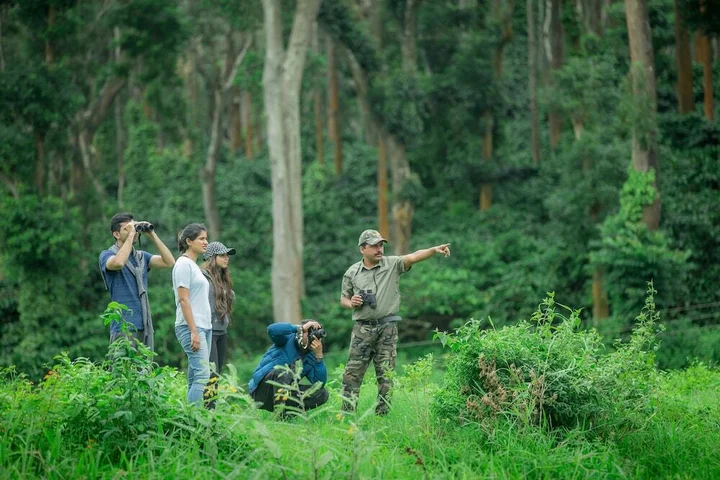 Полибетта: Ama Plantation Trails , Coorg