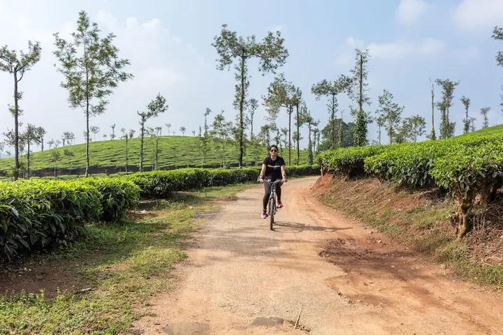 Полибетта: Ama Plantation Trails , Coorg