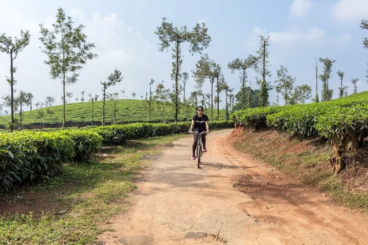 Полибетта: Ama Plantation Trails , Coorg
