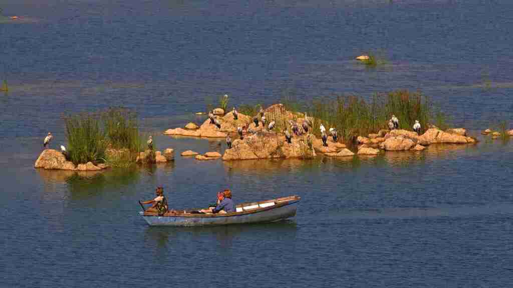 Панна: Жилое помещение Pugdundee safaris- Ken river lodge Panna