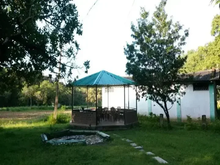 Папанаси: Dandeli Homestay
