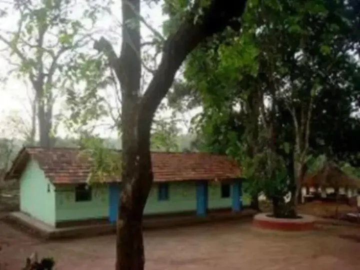 Папанаси: Dandeli Homestay